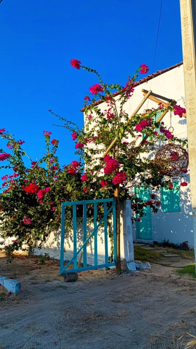 Pousada Casa Verde Canoa Quebrada Buitenkant foto